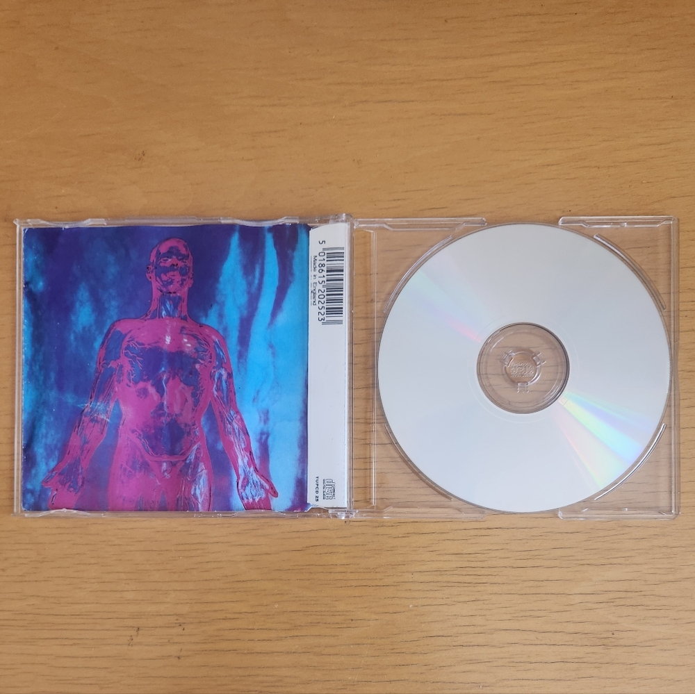 Nirvana "Sliver", "Come As You Are" - 1990s CD Singles (Lot of 2)  - Picture 4 of 7